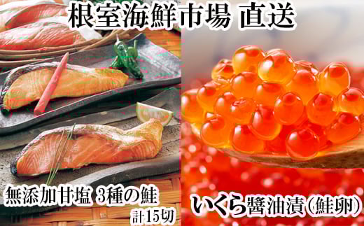 
            A-11087  無添加天然甘塩鮭3種各5切、いくら醤油漬け(鮭卵)70g×1P 【12月8日決済分まで年内配送】
          