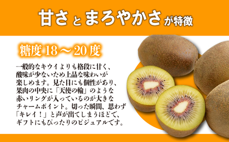 さぬきエンジェルスイート キウイ 約2.2kg 先行予約 キウイ