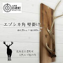 【ふるさと納税】 エゾシカ角 壁掛け（横約20cm×縦約60cm）エゾシカ 角 インテリア 民芸 鹿 雑貨 北海道ふるさと納税 白老 ふるさと納税 北海道