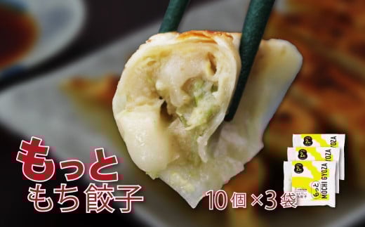 いちのせき もっともち餃子 ぎょうざ ギョウザ ギョーザ 惣菜 岩手県 一関市 焼き餃子 水餃子 冷凍