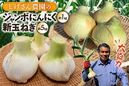 野菜 にんにく 玉ねぎ セット ジャンボにんにく 約1kg 新玉葱 約5kg 詰め合わせ 【期間限定発送】 [しげさん農園 長崎県 平戸市 hr42bgy420132]