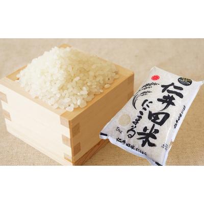 ふるさと納税 高知県 仁井田米　にこまる　5kg　※令和7年産【D06026】