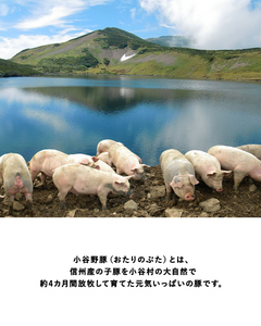小谷野豚のウインナー2種セット（要冷凍）