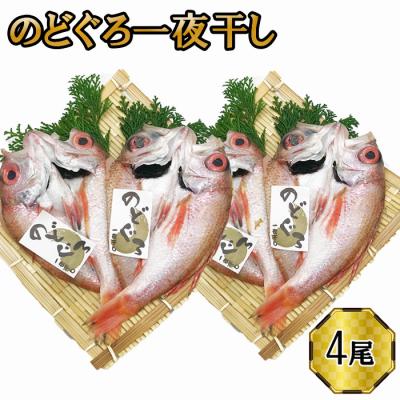 ふるさと納税 出雲市 のどぐろ　一夜干し2尾セット×2箱セット【2_6-007】