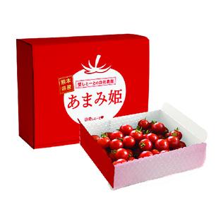 【訳あり】 熊本県産 完熟ミニトマト「あまみ姫」1.5kg | 野菜 やさい トマト とまと アイコ 人気  生産者直送 産地直送 熊本県 玉名市