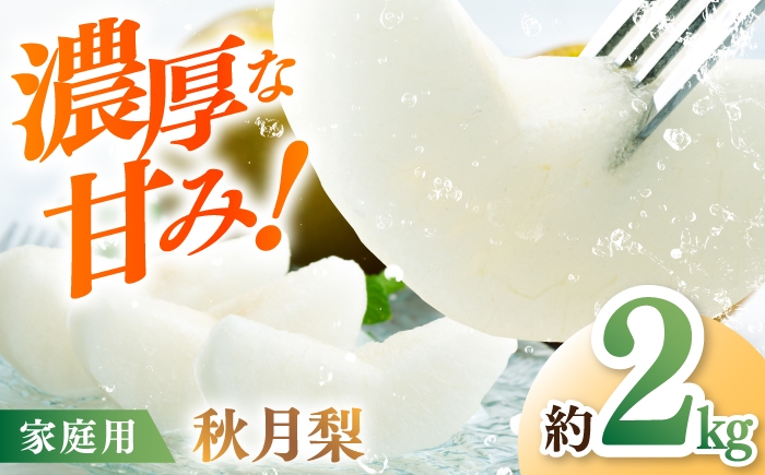 
                  【先行予約】 秋月梨 約2kg 家庭用 〈2026年9月上旬～9月中旬頃発送〉 / 梨 なし ナシ  果物 フルーツ デザート 秋 甘い ジューシー 【川渕果樹園】 [ATHX012]
                
