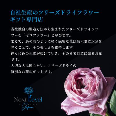 ふるさと納税 酒田市 【毎月定期便】水のいらない花 ゼロフラワー定期便「Bouquet12」全12回 |  | 03