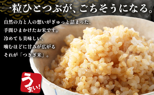 多良木町産 にこまる 「つきぎ米」 玄米 30kg