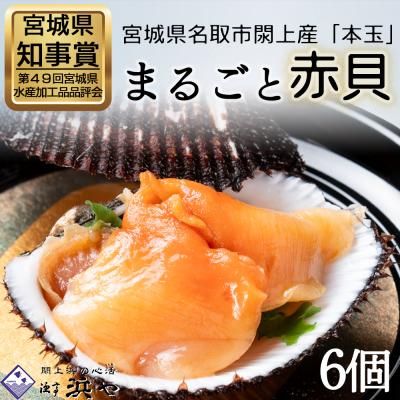 ふるさと納税 名取市 【閖上赤貝】まるごと赤貝　6個入り