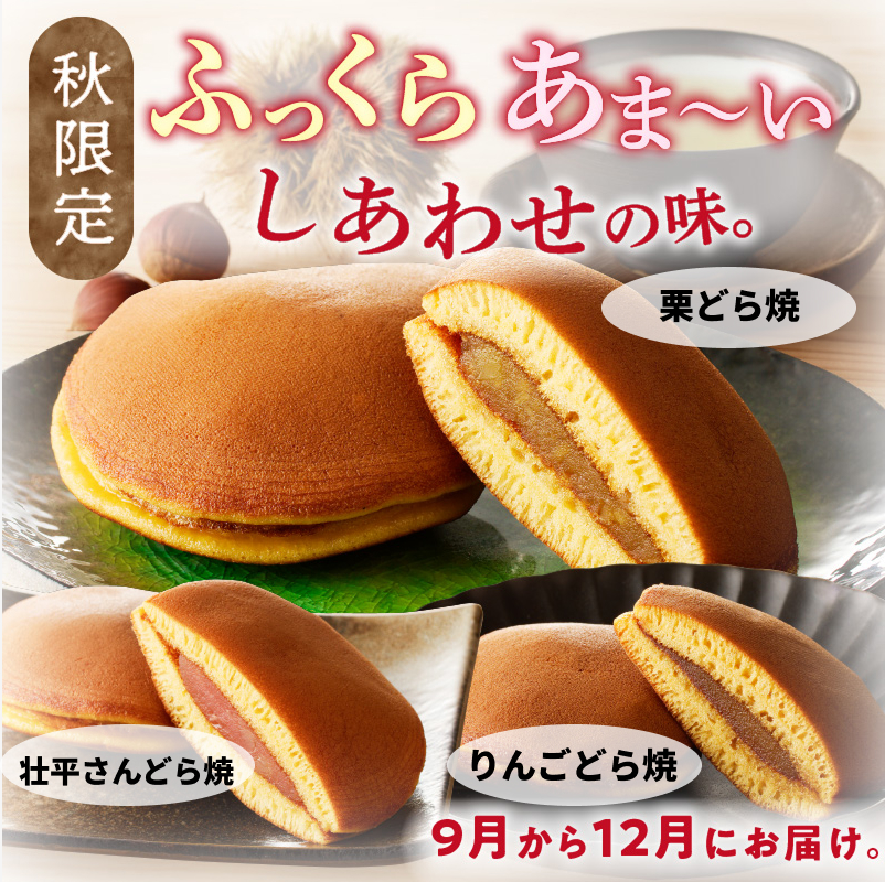 どら焼き　季節のセット ［009B14］ 和菓子 スイーツ デザート お取り寄せ 春セット 夏セット 秋セット 桜葉 レモンピール 栗きんとん りんご蜜漬 名古屋コーチン卵 備中白小豆_イメージ4