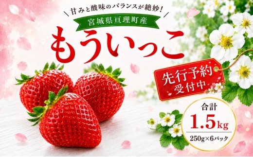 
                  いちご イチゴ 苺 先行予約 1月発送 家庭用 もういっこ 宮城県亘理町産 1.5kg 250g×6パック 小分け 冷蔵配送 国産 フルーツ 返礼品
                