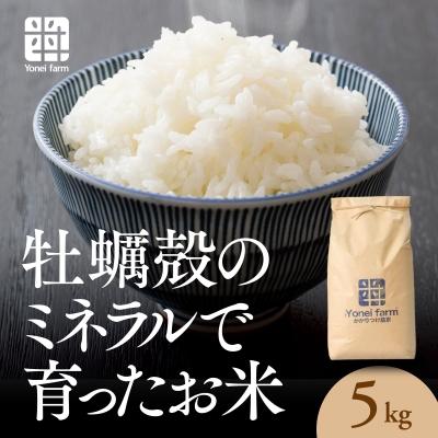 ふるさと納税 津山市 おいしいお米(5kg)無洗米　リピーター続出