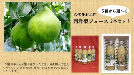 SA0144　六代多右エ門　西洋梨ジュース2本セット