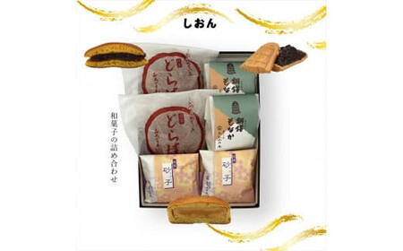 しおん 和菓子の詰め合わせ【 和菓子 和菓子 和菓子 和菓子 和菓子 和菓子 】