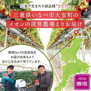 【イオンいなべ農場からお届け!】いちご「うた乃」約270g×2パック【配送不可地域：離島】【1670978】