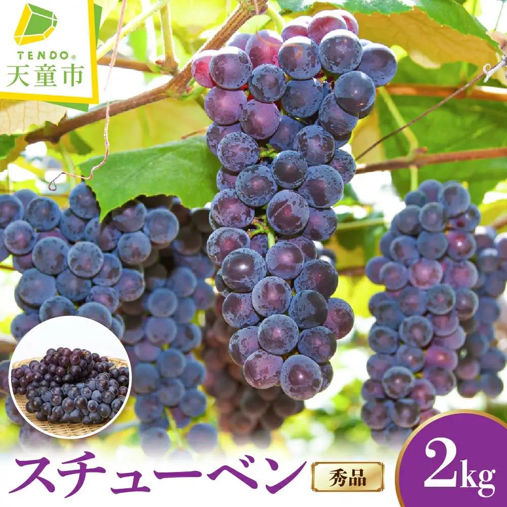 ぶどう スチューベン 2kg フルーツ 果物 山形 ブドウ