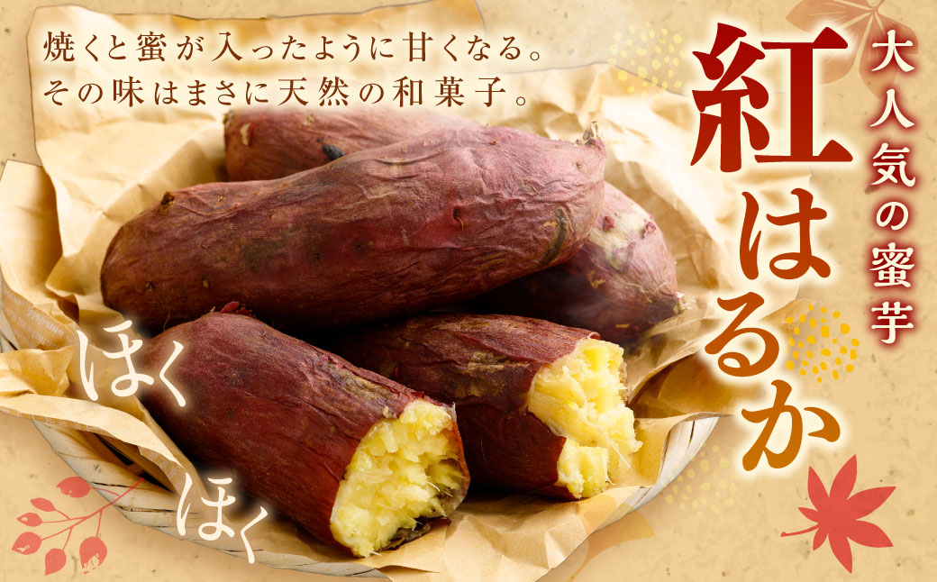 “熟成” 茨城県産 さつまいも 【 紅はるか 】 約5kg （茨城県共通返礼品・行方市産） 芋 いも サツマイモ 野菜 やさい 国産