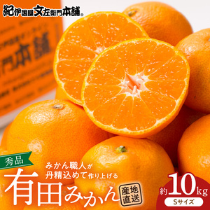 【2026年先行予約】有田みかん 10kg Sサイズ 産地直送 国産 有田 みかん 温州みかん ブランドみかん 柑橘 果物 フルーツ 果実 程よい酸味 濃厚 コク ジューシー 果汁 ノーワックス 紀伊