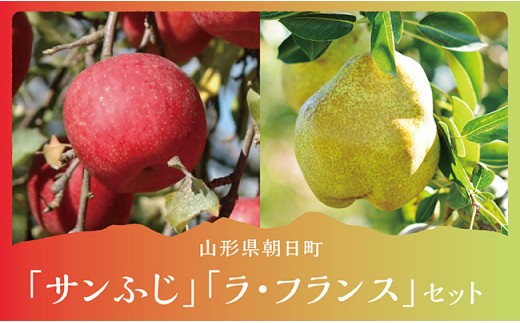 
                  ラ・フランス＆サンふじ 詰合せ 5kg 各6～9玉 秀品 【11月中旬発送】贈り物 農家直送 山形県 朝日町産 山形県産 山形 特産 果物 フルーツ りんご リンゴ 林檎 ふじ ラフランス 洋ナシ 洋梨 セット 産地直送 秋 冬
                