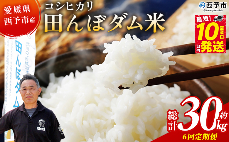 ＜令和8年産 愛媛県西予市産 コシヒカリ 田んぼダム米 5kg 6回定期便＞※最短10営業日以内に第1回目を出荷予定 5キロ こしひかり 西予応援米 宇和米 お米 コメ こめ 白米 精米 米 国産 愛