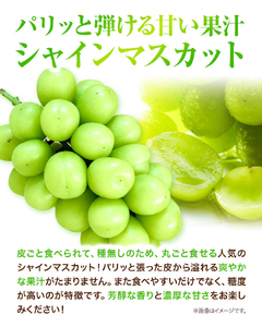 H-30  岡山県産シャインマスカット「晴王」つる付き１房（６８０g以上）１房入り（令和6年産先行受付）【配送不可地域あり】｜ シャインマスカットマスカットぶどう葡萄シャインマスカットマスカットぶどう