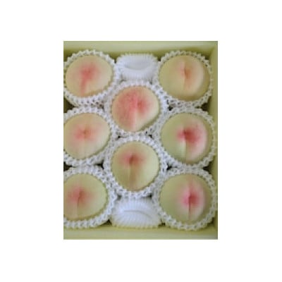 【2025年先行予約】2025年7月中旬頃より発送予定・岡山の白桃・白鳳(2kg箱)【配送不可地域：離島】【1479360】