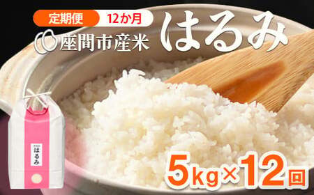 【定期便】12か月 座間市産米 はるみ5kg×12回 ※離島への配送不可※2025年10月上旬頃より順次発送予定