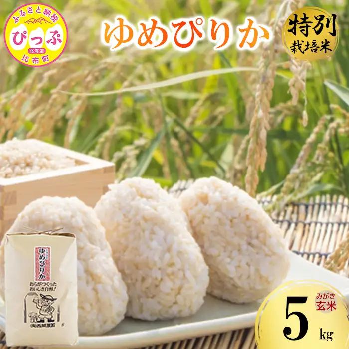 令和7年産 特別栽培米 ゆめぴりか みがき玄米 5kg【西間農園】玄米 お米 米 北海道産 北海道米 特Aランク 国産 コメ JGAP認証農場 北海道 比布町 ぴっぷ 1005-051