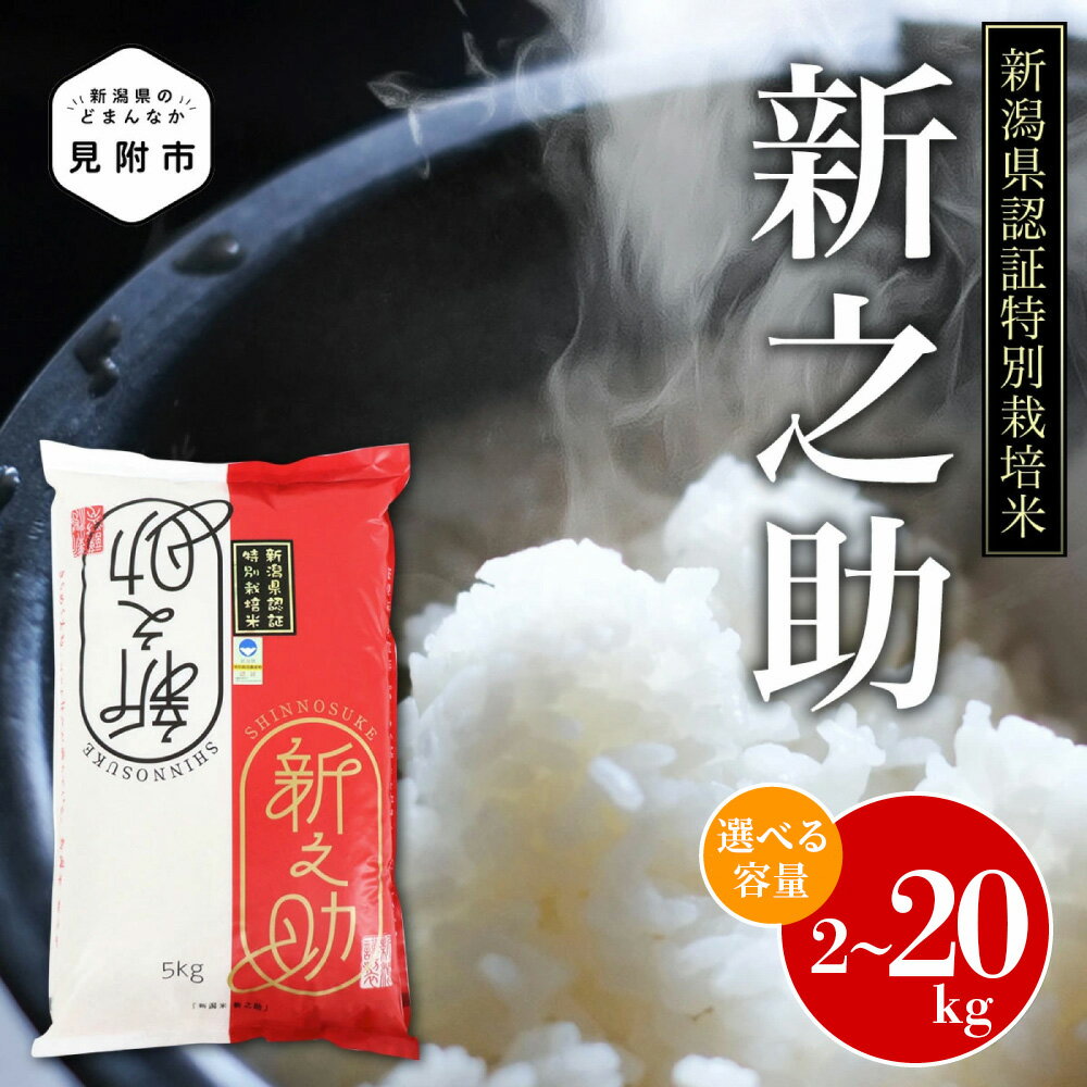 【ふるさと納税】 米 新潟 県産 新之助 2kg 5kg 10kg 20kg 令和7年産 定期便 新之助 精米 ごはん ブランド 品種 2キロ 5キロ 10キロ 20キロ 送料無料 新潟県認証米 特別栽培米 減農薬 安心安全 ご飯 お米 おこめ 新潟産 見附 見附市 定期 3回 3か月