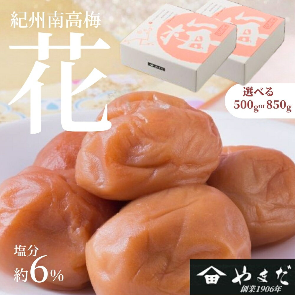 【ふるさと納税】紀州南高梅「花」（塩分約6%） 500g～850g | 梅干し 南高梅 梅 うめ ウメ 塩分控えめ