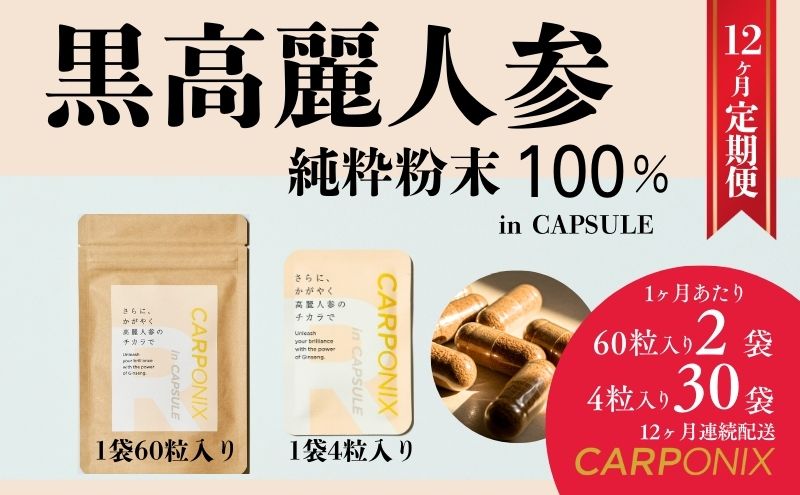 黒高麗人参「CARPONIX」　＜ご自宅用エコパック＞ 60粒入り×2袋　＜個包装＞ 4粒入り×30袋 【定期便 12ヶ月】 サプリメント サプリ 黒高麗人参 カプセル ジンセノサイド 千葉市