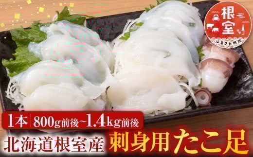 
            A-30050 【北海道根室産】たこ足800g前後～1.4kg前後×1本
          