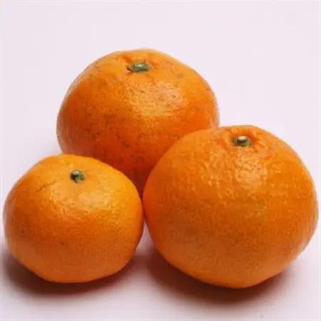 家庭用 有田みかん5kg+250g(傷み補償分)【光センサー選果】【訳あり】【配送不可地域：離島・北海道・沖縄県】【1313205】
