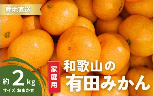 【1月発送】家庭用 有田みかん 和歌山 訳あり わけあり S～Lサイズ 大きさお任せ 2kg / みかん フルーツ 果物 くだもの 有田みかん 蜜柑 柑橘【ktn005A-1】