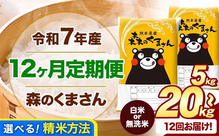 【12ヶ月定期便】令和7年産 白米 無洗米 森のくまさん 5kg 10kg 20kg《お申込み翌月から出荷》 熊本県産 白米 精米 米 こめ コメ お米 kome