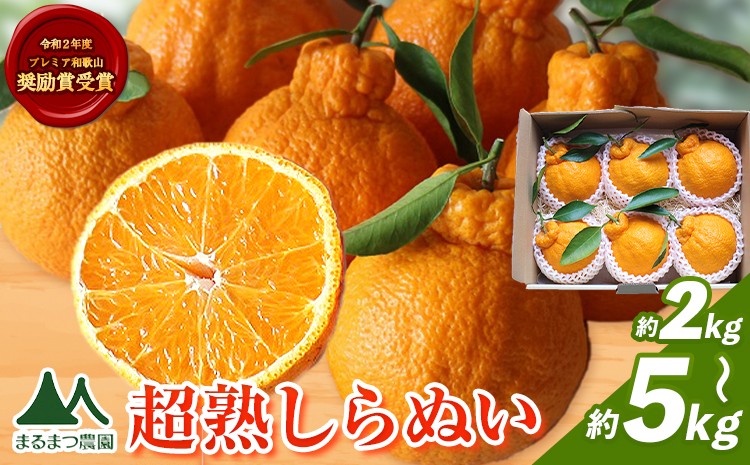 
            採れたて新鮮 濃厚な甘さ 超完熟しらぬい 選べる 2kg 3kg 5kgまるまつ農園《3月中旬-4月末頃出荷》 和歌山県 日高町 不知火 しらぬい デコポン と同品種 でこぽん 柑橘
          