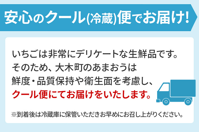 《先行予約》あまおう 約300g×2パック おすすめ 福岡県 大木町 BO003 【2026年12月下旬～2027年4月末頃にかけて順次出荷予定】いちご フルーツ 苺
