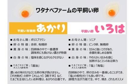 [ふるなび限定企画]【定期便3回】[平飼い卵食べ比べ] 平飼い有精卵あかり・平飼い卵いろは 各15個 合計30個 (毎月お届け）