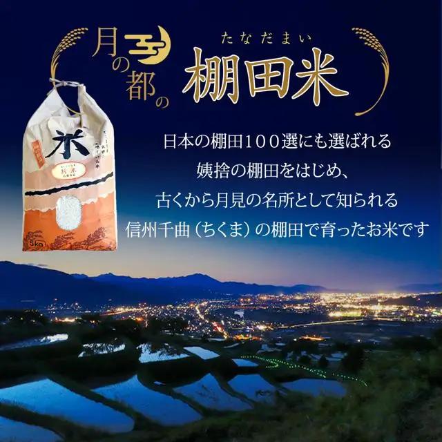 【2026年先行予約】棚田米 こしひかり 白米 10kg 令和8年産| コシヒカリ
