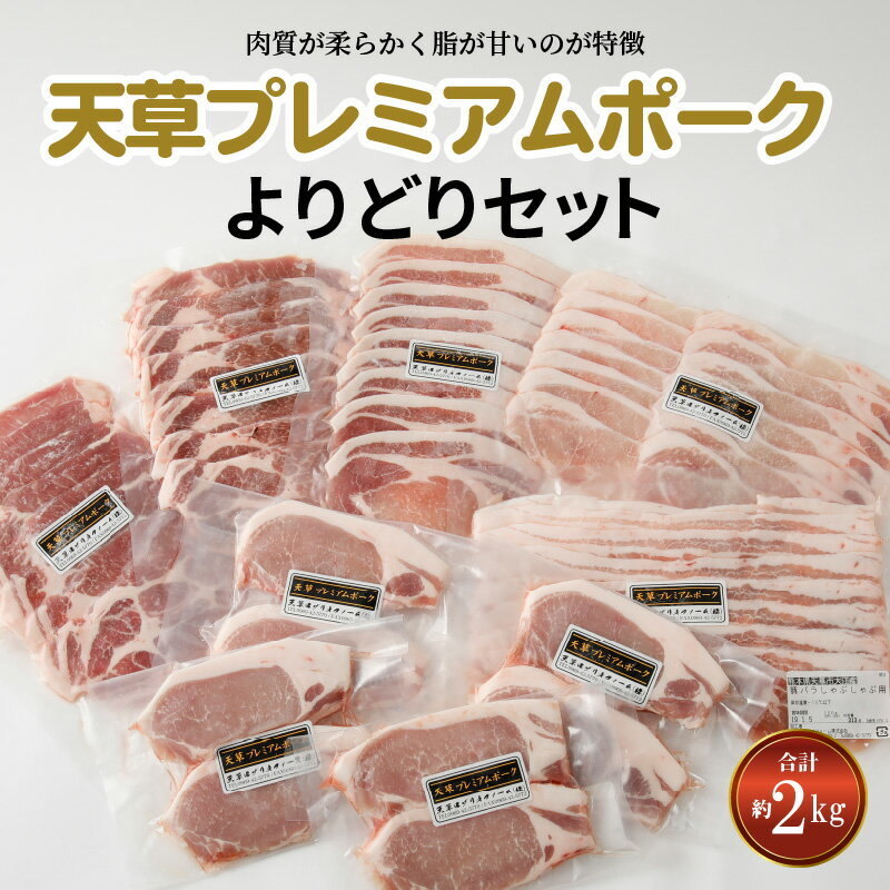 【ふるさと納税】豚肉 セット 約 2kg 豚ロース バラ 肩ロース 焼肉 しゃぶしゃぶ 生姜焼き とんかつ 産地直送 国産 プレミアムポーク 天草市 熊本県 柔らか あっさり 食品 お取り寄せ お取り寄せグルメ 送料無料