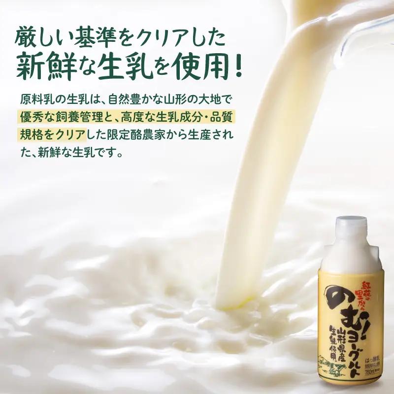 ヨーグルト のむヨーグルト 750ml 2本セット 山形 ヨーグルト