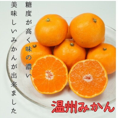 【ふるさと納税】八幡浜産 温州みかん 小玉 3kg【C96-4】【1670377】