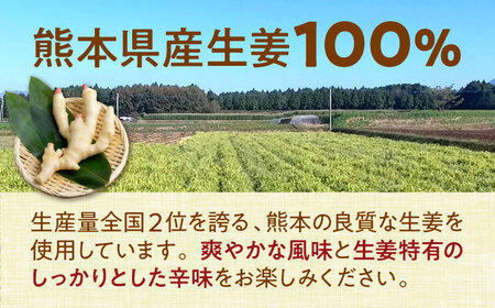 ほんきのしょうが糖 35g×10袋【ジンジベル】[AYAD003]