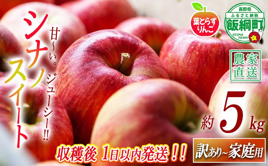 
                  【 フレッシュ便 / 採れたて発送 】 りんご 葉とらず シナノスイート 家庭用 〜 訳あり 5kg フレッシュフルーツミカズキ 2026年10月中旬頃から2026年10月下旬頃まで順次発送予定 令和8年度収穫分 傷 不揃い リンゴ 林檎 果物 フルーツ 信州 長野 予約 農家直送 長野県 飯綱町 [1657]
                