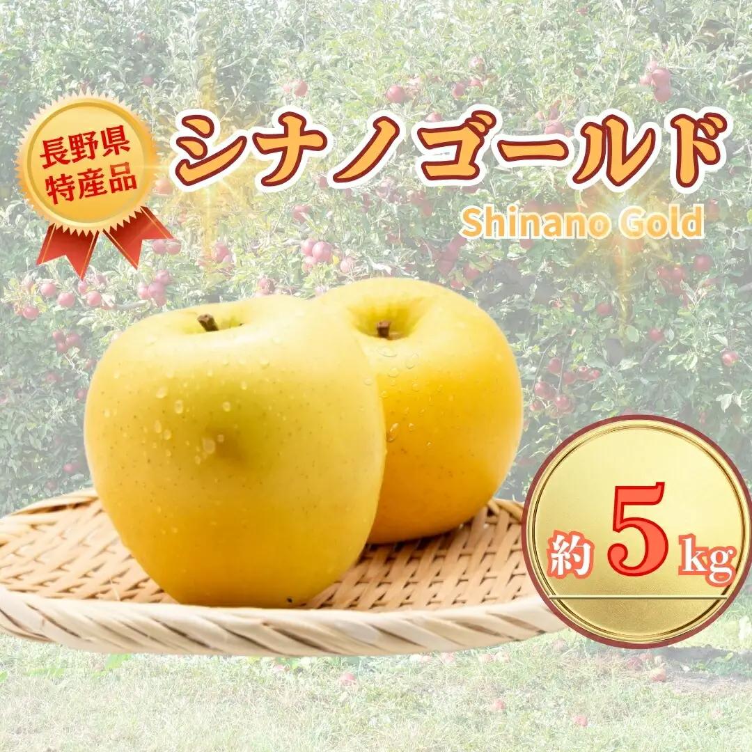 【2026年先行予約】シナノゴールド 約5kg| りんご