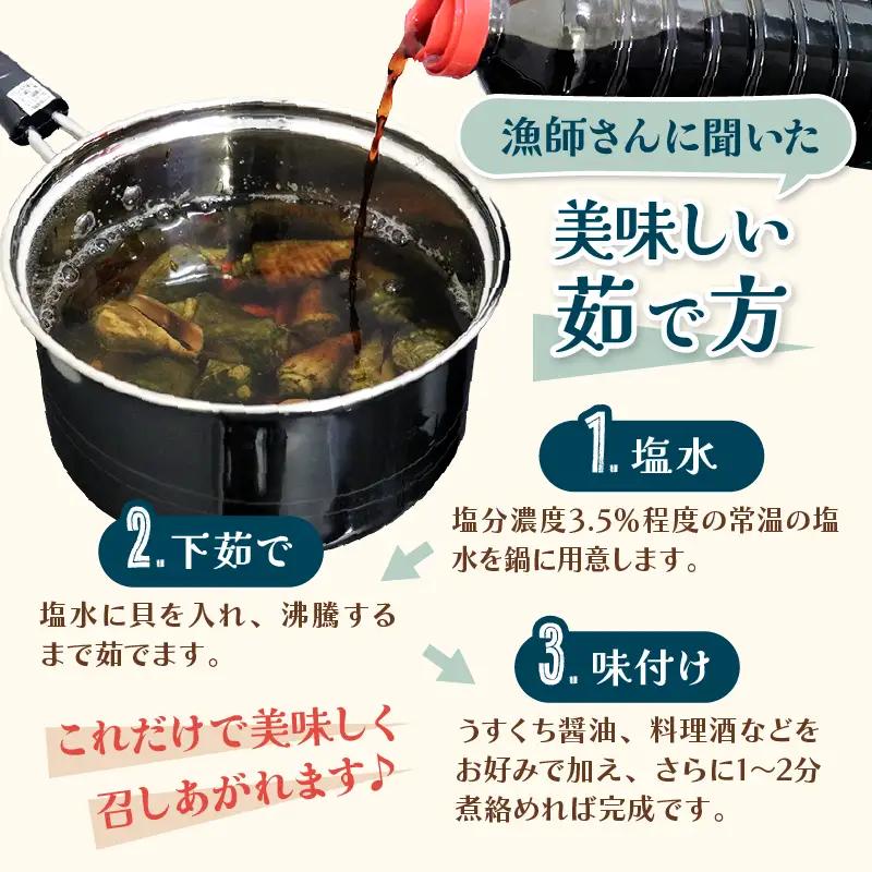 チャンバラ貝 5kg 貝