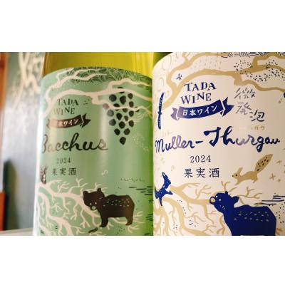 ふるさと納税 上富良野町 【多田ワイナリー】フレッシュな果実味の白ワイン 2本セット |  | 02