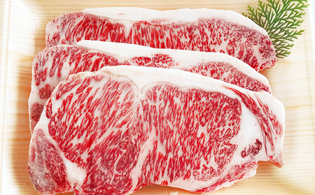 【鹿児島県産】黒毛和牛 サーロインステーキ 約500g （約170g×3枚） 4等級以上 サーロイン BBQ 焼肉 バーベキュー キャンプ 国産 和牛 牛肉 お肉ギフト 贈答 冷凍 スターゼン 南さつ