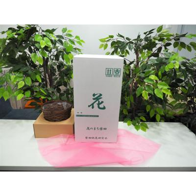 ふるさと納税 柴田町 柴田ポットカーネーションポット(複色系) |  | 02