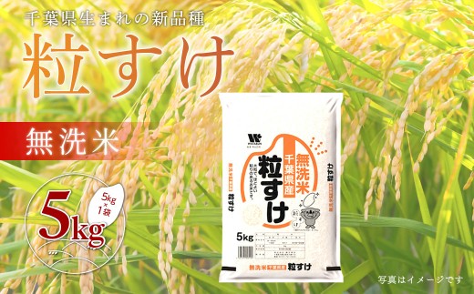 
                  千葉県産「粒すけ」無洗米 5kg（5kg×1袋） A063
                